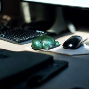 Tortue - compagnon à adopter